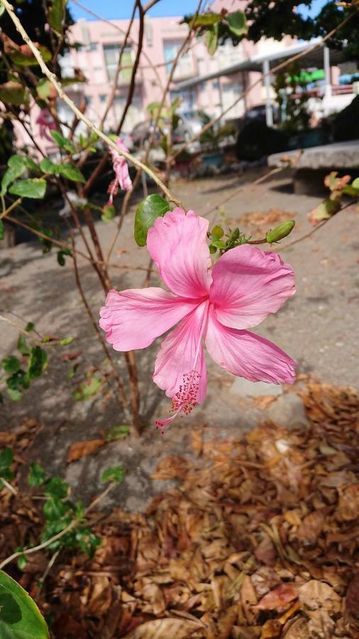 Ching Ji Ming Inn Kenting Esterno foto